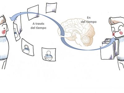 Neurociencia de la percepción y estructura cerebral del tiempo (neurociencia y PNL-2)