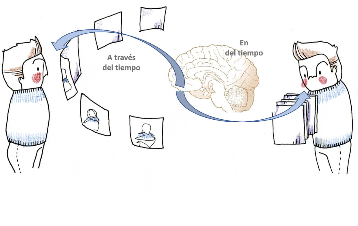 Brain structure of time