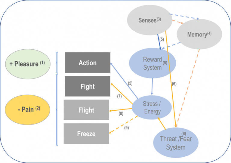 behavioral neuroscience