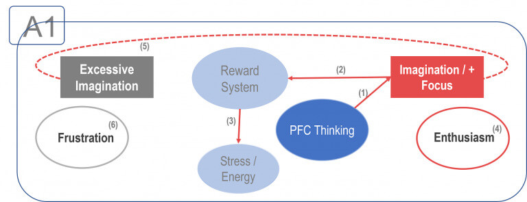 behavioral neuroscience