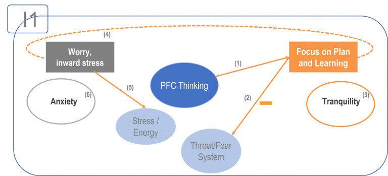 neuroscience of behavior