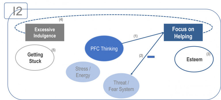 neuroscience of behavior