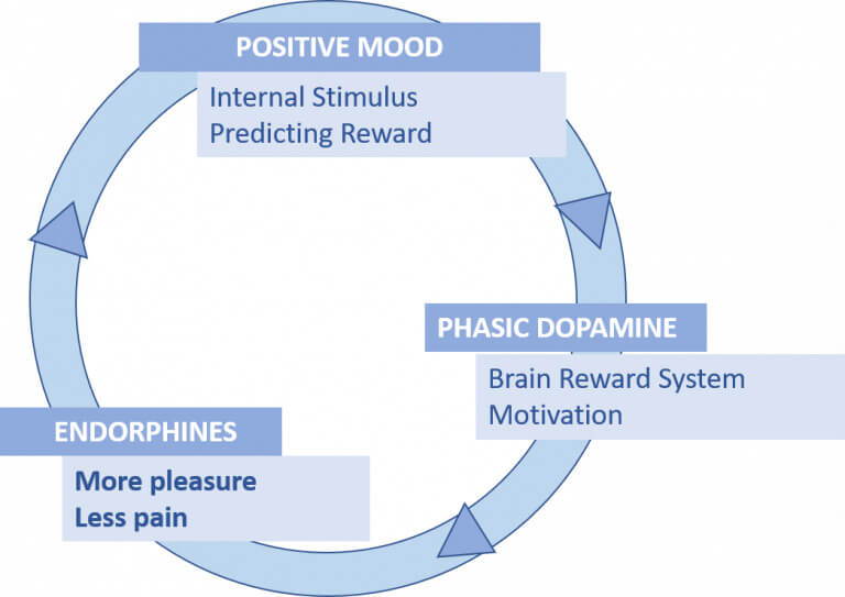 Home - Endorphins Within the Body: Abby Vlahovich - SVC Library at ...